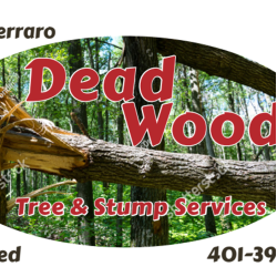 Deadwood Tree and Stump Service LLC