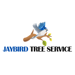 JayBird Tree Service