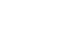 Strunk Excavation