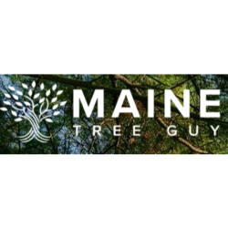 Maine Tree Guy