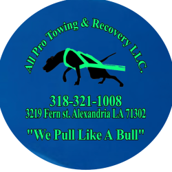 All Pro Towing and Recovery, LLC