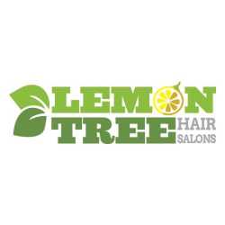 Lemon Tree Hair Salon Dallas Central Forest