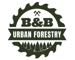 B&B Urban Forestry