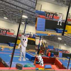 Naperville Gymnastics, Tumbling & Cheer