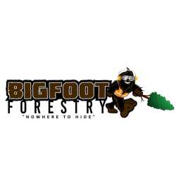Bigfoot Forestry - South Carolina Coastal