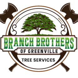 Branch Brothers Greenville