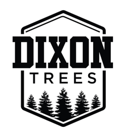 Dixon Trees
