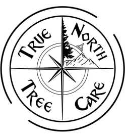 True North Tree Care