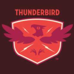 Thunderbird Custom Design