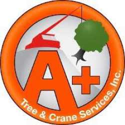 A+ Tree & Crane Services, Inc.