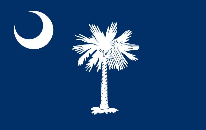South Carolina Business License