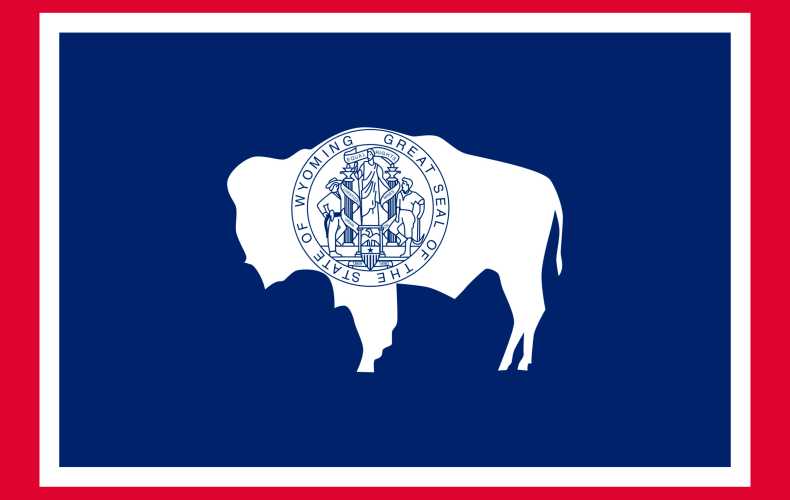 Wyoming Business License