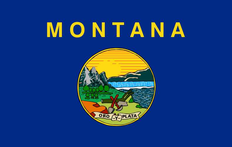 Montana Business License