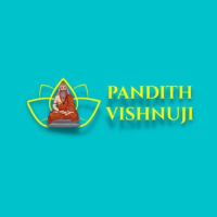 Best astrologer in New York pandit vishnu Logo