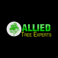 Allied Tree Experts Logo