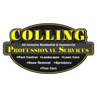 Colling Professional Services Logo