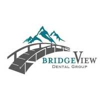 BridgeView Dental Group Logo