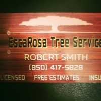 EscaRosa Tree Service, LLC 28 years experience Logo