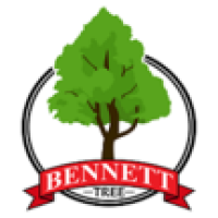 Bennett Tree Logo
