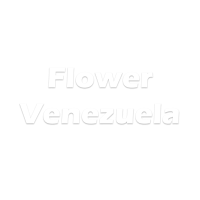 Flower Venezuela Logo