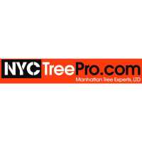 NYC Tree Pro Services Logo