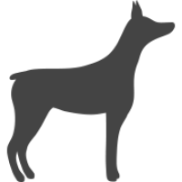 The Handsome Hound Logo
