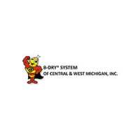 B-Dry System Of Central & West Michigan Logo