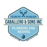Caballero & Sons Inc Logo