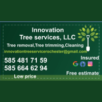 Innovation Tree Services Logo