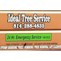 Ideal Tree Service Logo