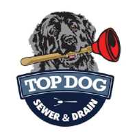Top Dog Sewer & Drain Logo