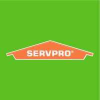 SERVPRO of Clearwater North, Safety Harbor Logo
