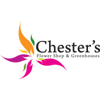 Chester's Flower Shop And Greenhouses Logo