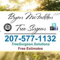 Bryan McFadden LLC Tree Surgeon Logo