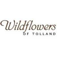 Wildflowers of Tolland Logo