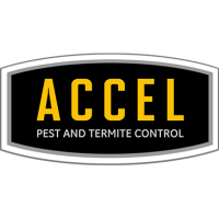 Accel Pest & Termite Control Logo