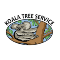 Koala tree service Logo