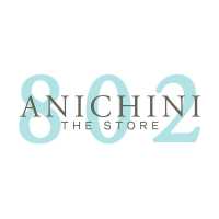 ANICHINI 802 Logo