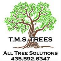 TMS Trees Logo