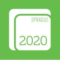2020 Solutions Logo