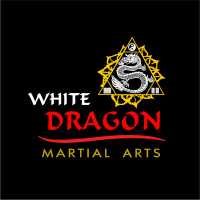 Pai Lum White Dragon Martial Arts Logo