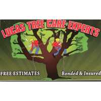 Lucas Tree Care Experts Logo