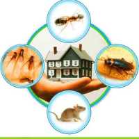 NW Pest Management Logo