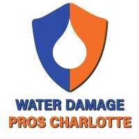 The Water Damage Pros Charlotte Logo