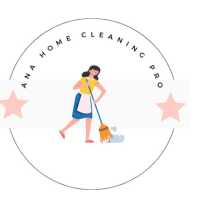 Ana Home Cleaning Pro Logo