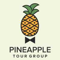 Pineapple Tour Group Logo