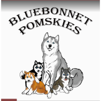 Bluebonnet Pomskies Logo