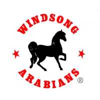 Windsong Arabians Logo