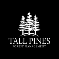 Tall Pines Forest Management Logo