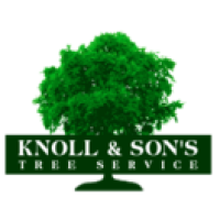 Knoll & Sons Tree Service Logo